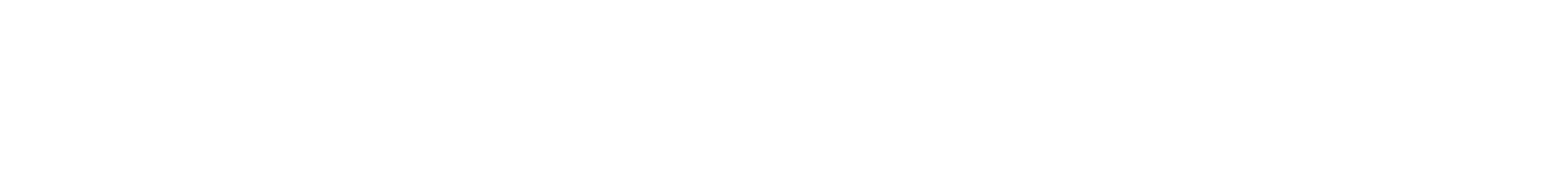 LYNK GROUP S.R.L.